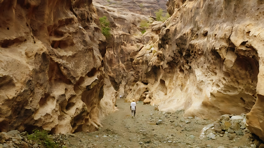 Wadi Lajb: Saudi Arabia’s Hidden Gem of Natural Beauty Wadi Lajb: Saudi Arabia’s Hidden Gem of Natural Beauty